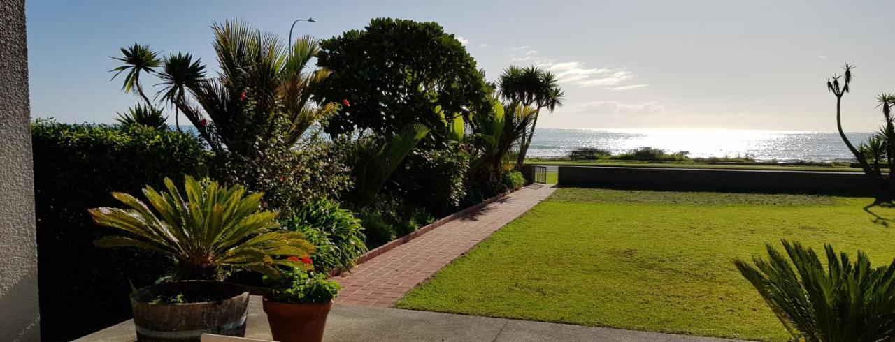 Beachfront Bliss Ohope 外观 照片