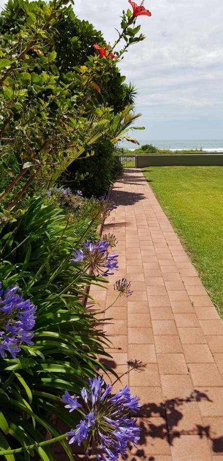 Beachfront Bliss Ohope 外观 照片